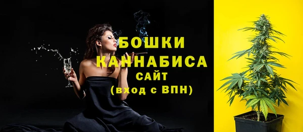 стафф Няндома