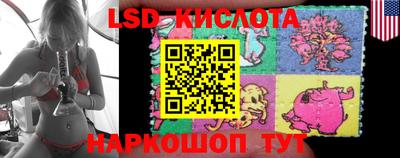 мдма Гусев