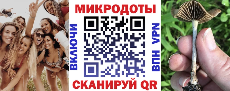 дарк нет какой сайт Курчатов Галлюциногенные грибы GOLDEN TEACHER