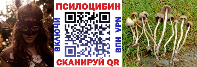 Псилоцибиновые грибы Psilocybine cubensis Курчатов