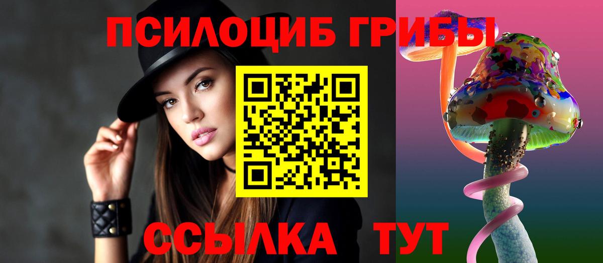 Псилоцибиновые грибы Psilocybe  Курчатов 